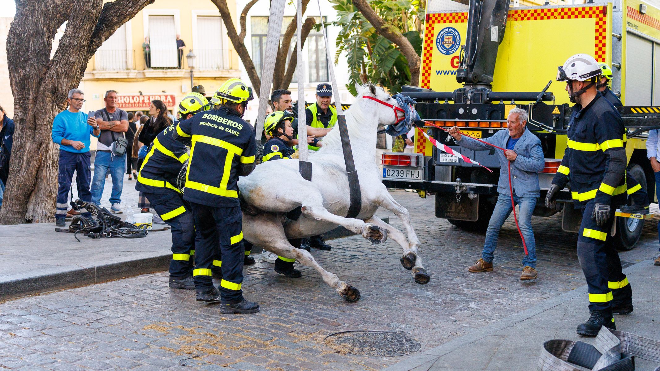 Los bomberos levantan a un caballo tra sufrir una caída en Jerez.