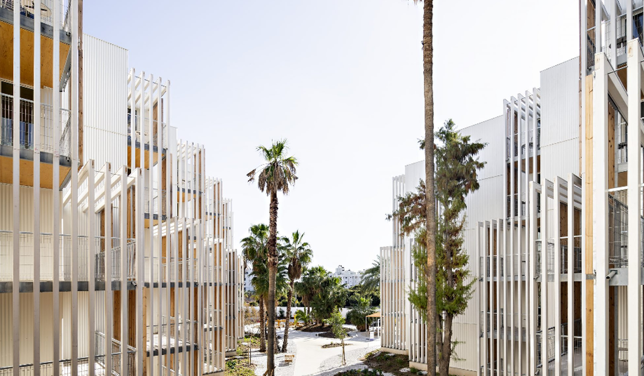 Distinguido en la Obra Nueva,