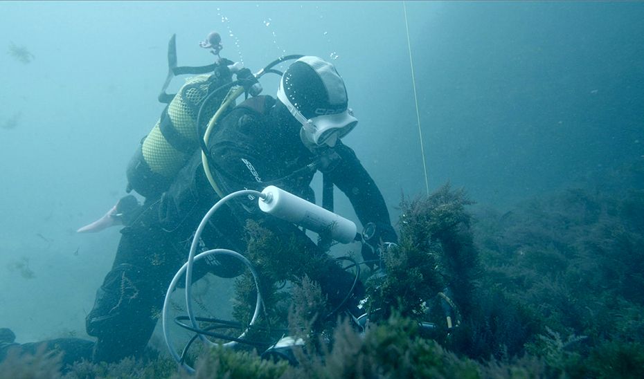 Miembro del Instituto de Investigación Marina de la UCA trabajando en el fondo del mar del Estrecho de Gibraltar