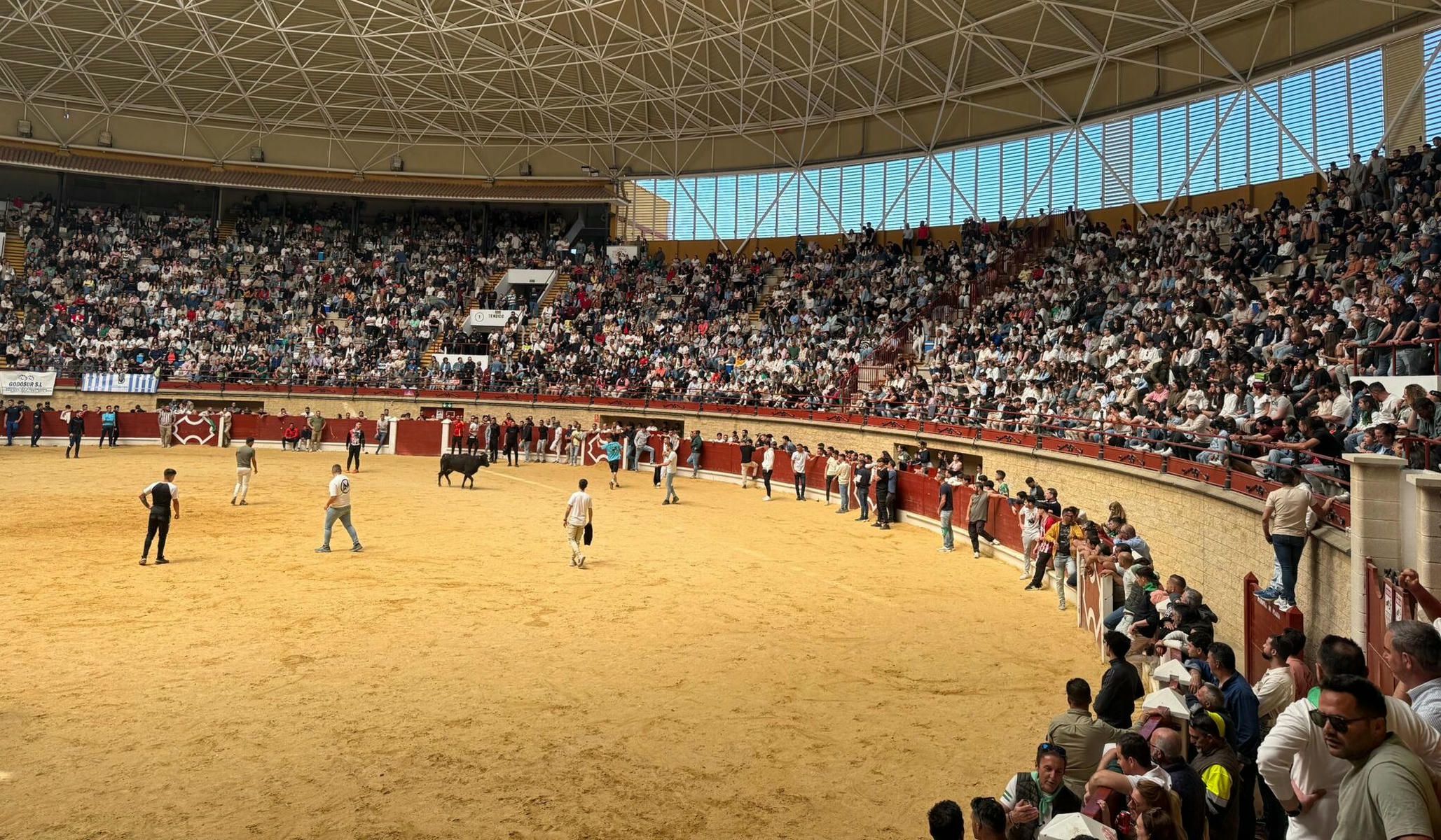 Los Barrios se vuelcan un año más con el Toro del Aleluya