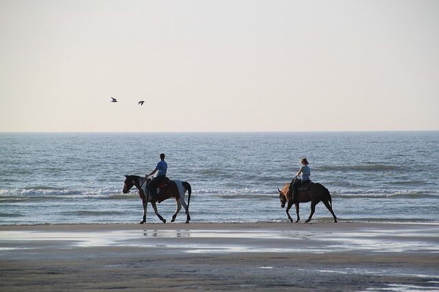 Dos jinetes pasean por la orilla de la playa con sus caballos. Dos jinetes pasean por la orilla de la playa con sus caballos.