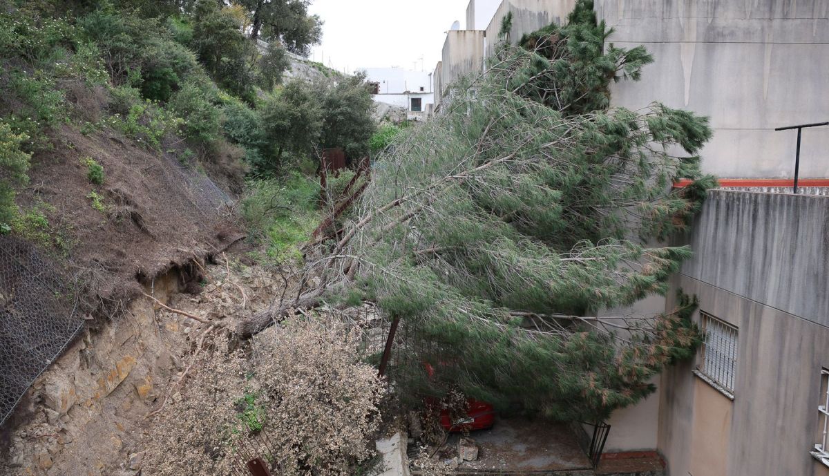 desalojo vecinos urbanizacion desalojados alcalá de los gazules temporal borrascas 12