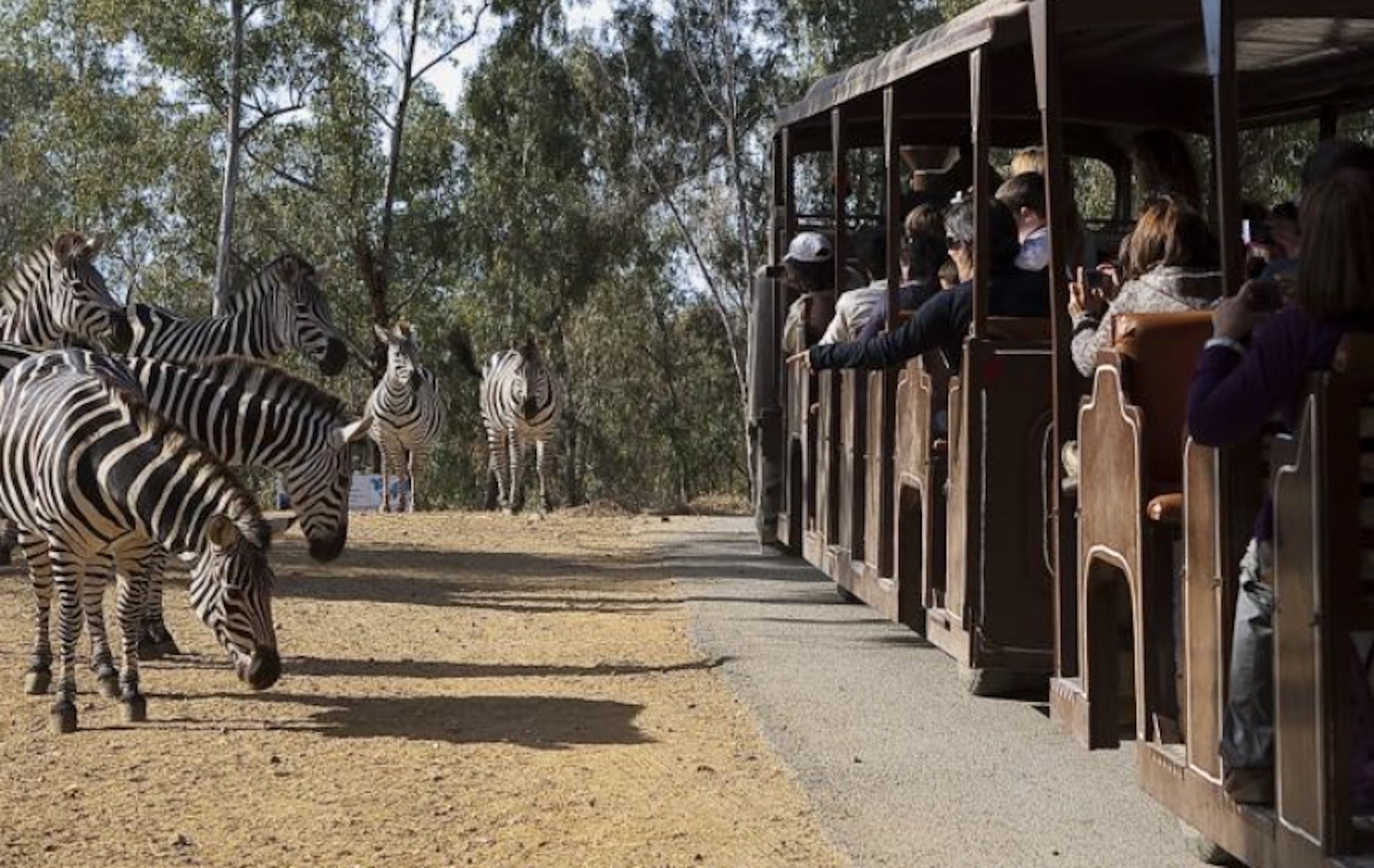 La Reserva del Castillo de las Guardas emite un comunicado sobre por qué apartan a algunos animales del tráfico.