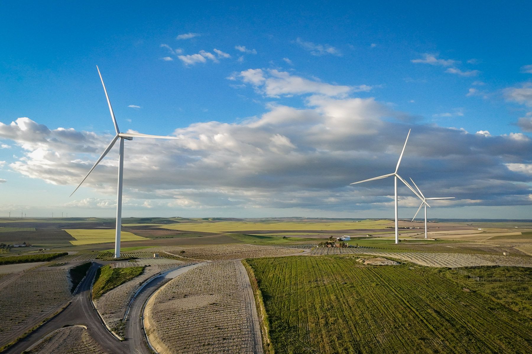 Vista de molinos de energía eólica —con impacto en el precio de la luz— en la campiña de Jerez, en una imagen de archivo.