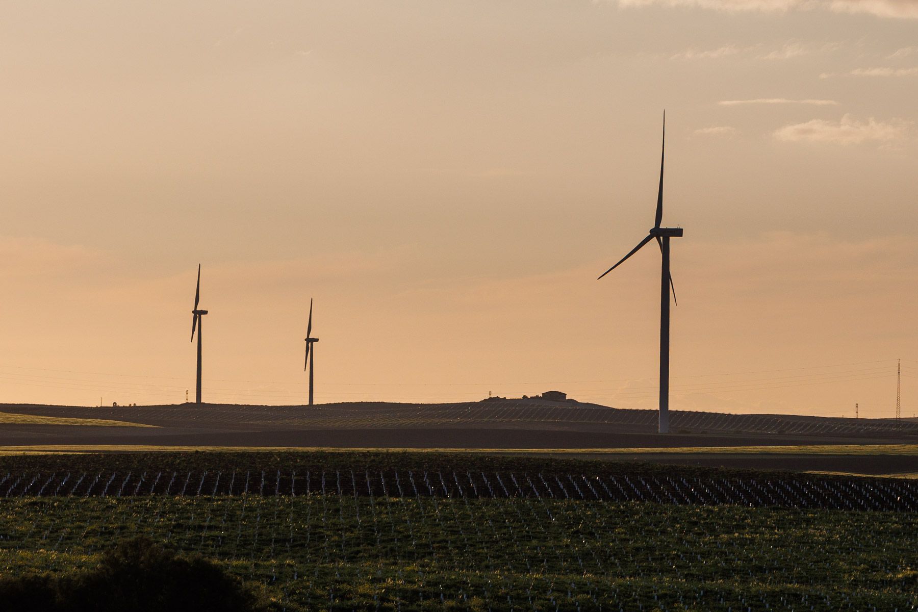 Energía eólica en la campiña de Jerez. Las renovables impactan en el precio de la luz.