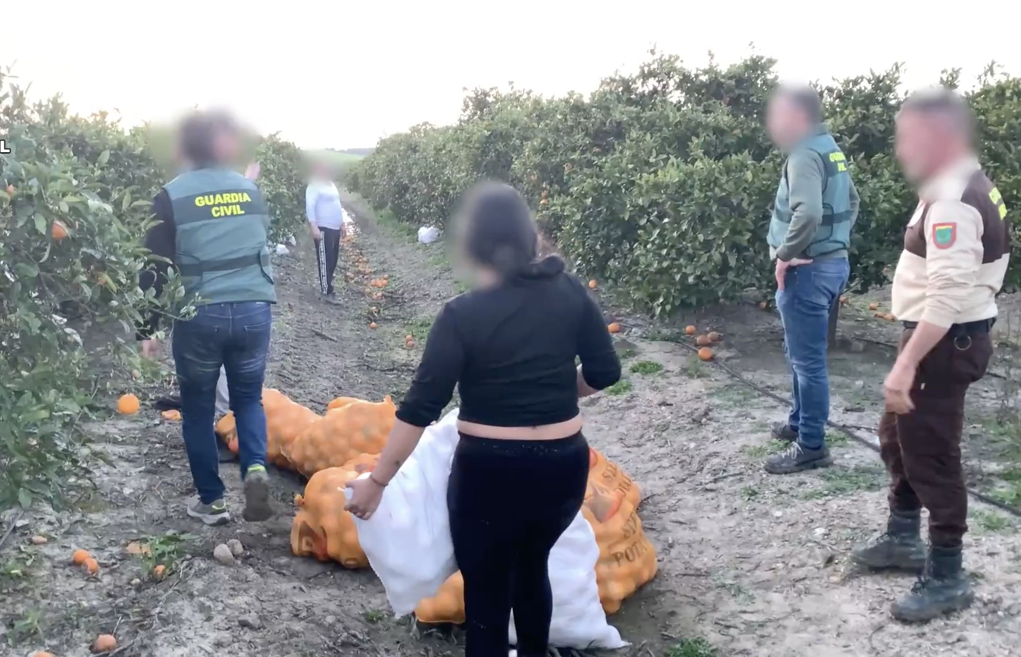 Un momento de la intervención de Guardia Civil. Un momento de la intervención de Guardia Civil.