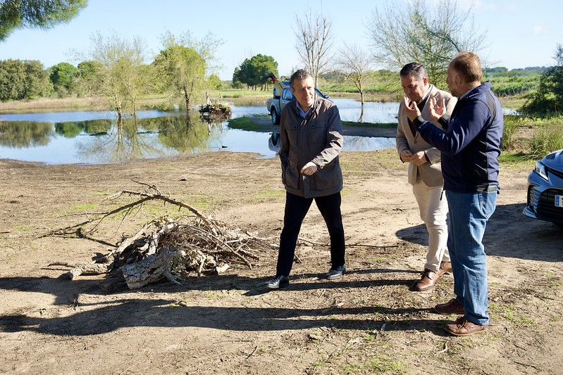 Intervenciones para la prevención del virus del Nilo en Sevilla. Intervenciones para la prevención del virus del Nilo en Sevilla.