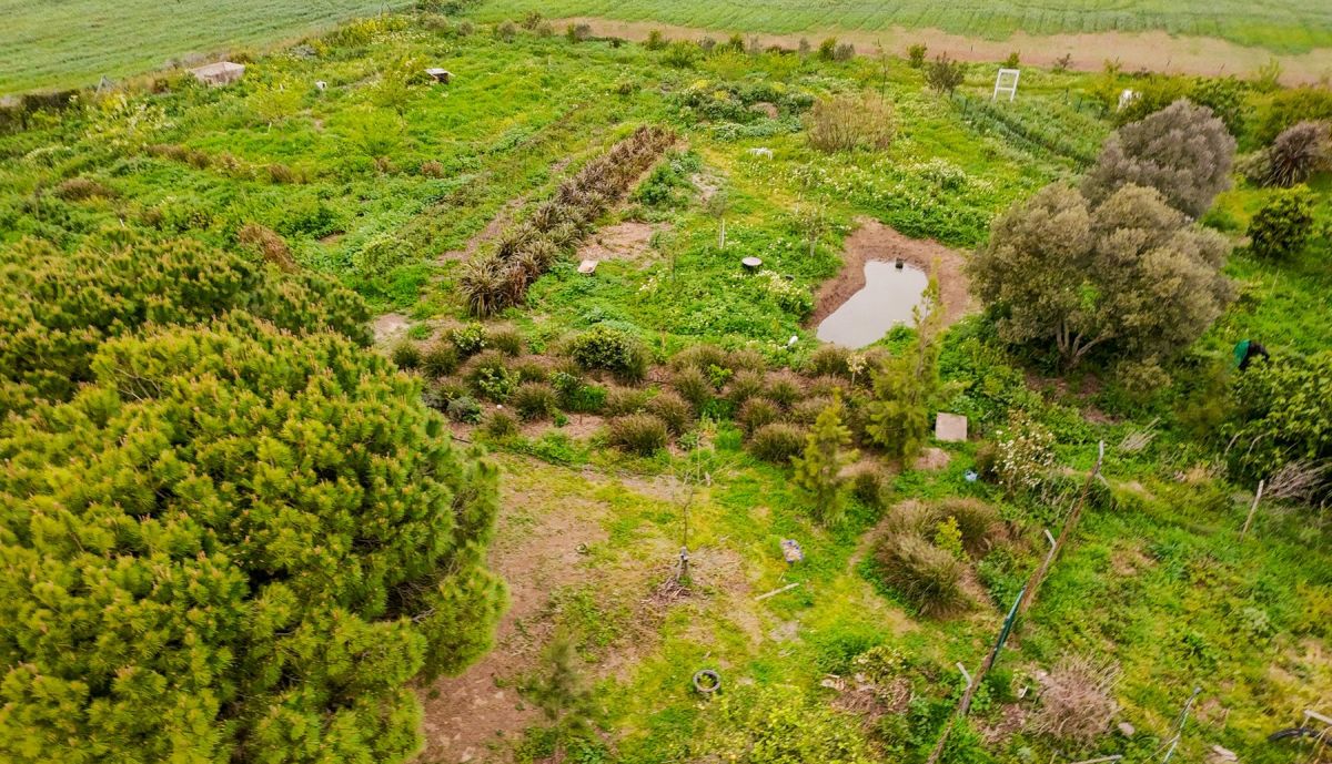 PROYECTO BOSQUE COMESTIBLE 2026 2