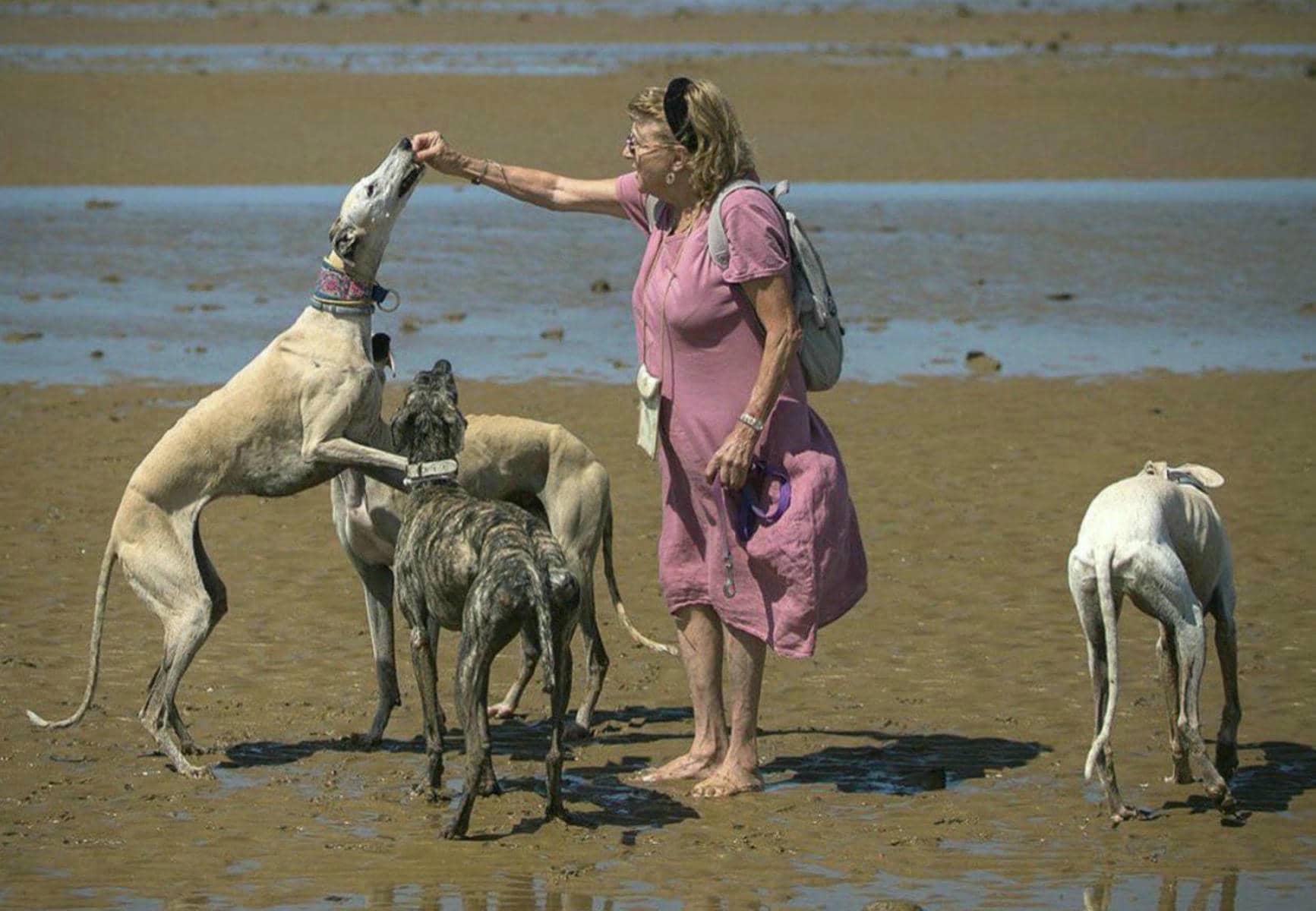 Lola Bustillo junto a unos galgos.