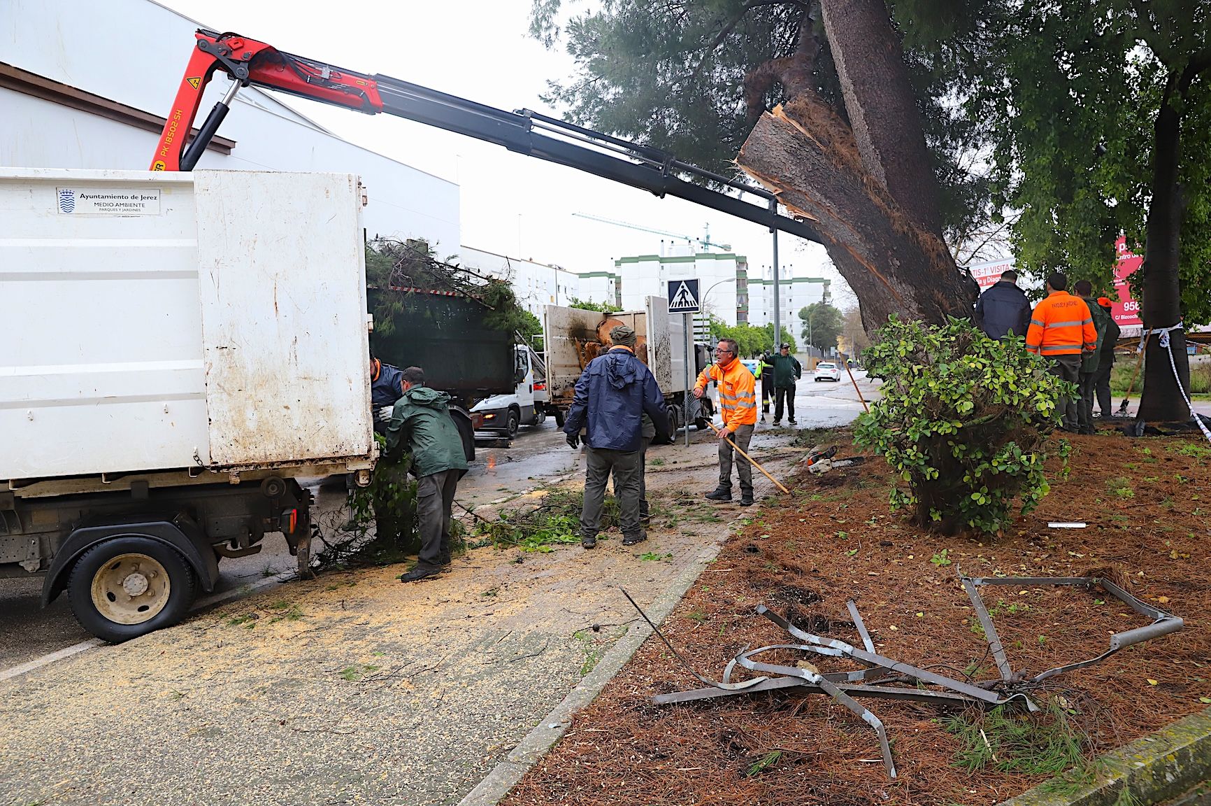 Trabajadores del servicio de Parques y jardines.