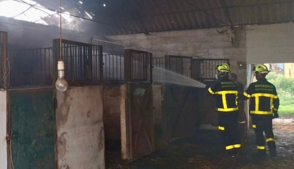 WhatsApp Image 2026 04 11 at 20.33.06