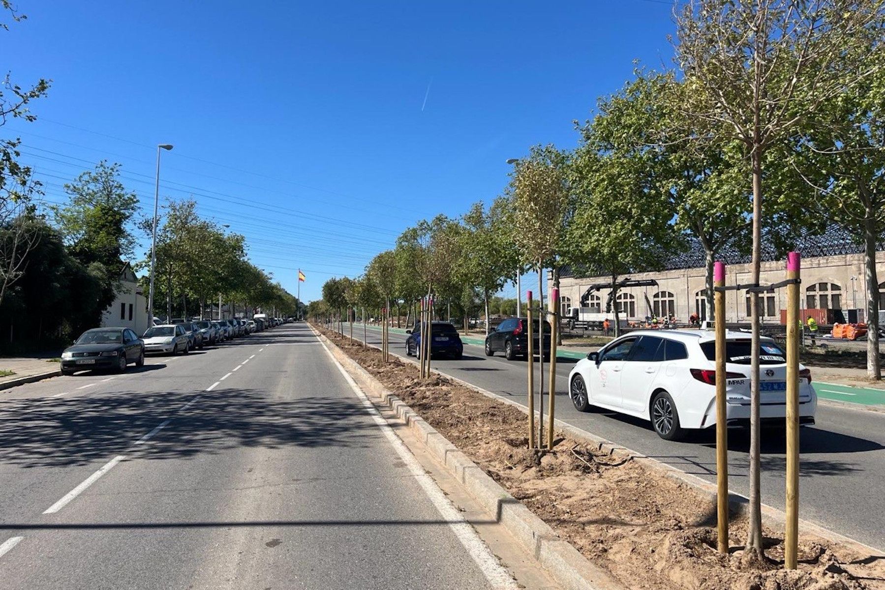 Así avanza el reajardinamiento de la mediana de la avenida de San Jerónimo en Sevilla.