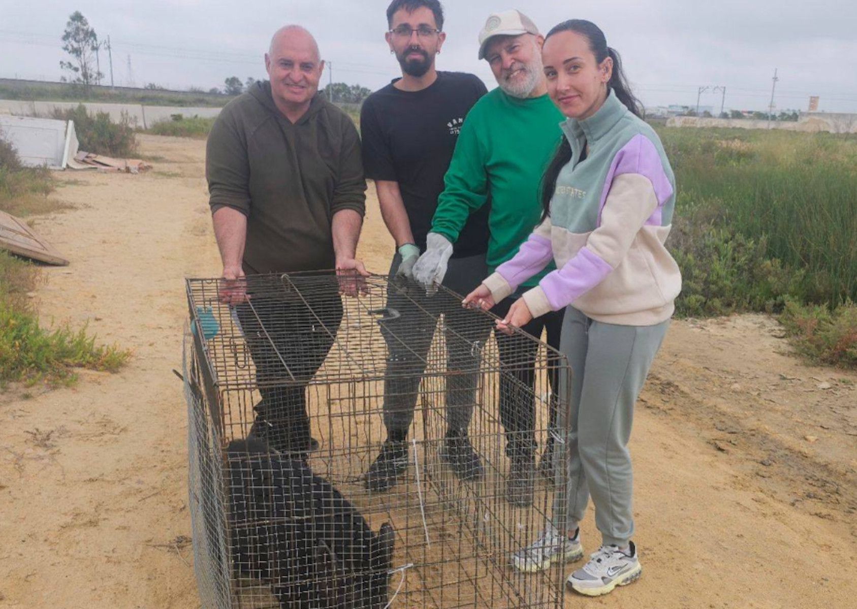 Rescate de una pareja de cerdos vietnamita en San Fernando.