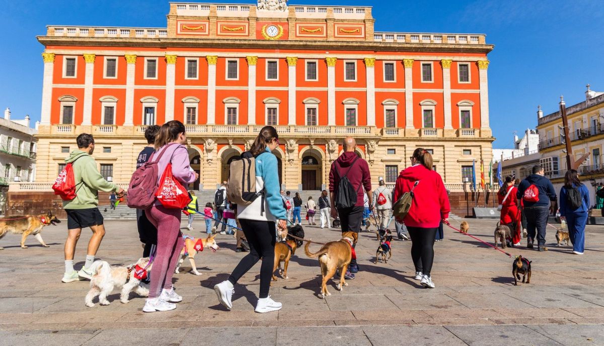 Así se ha vivido San Antón en San Fernando.