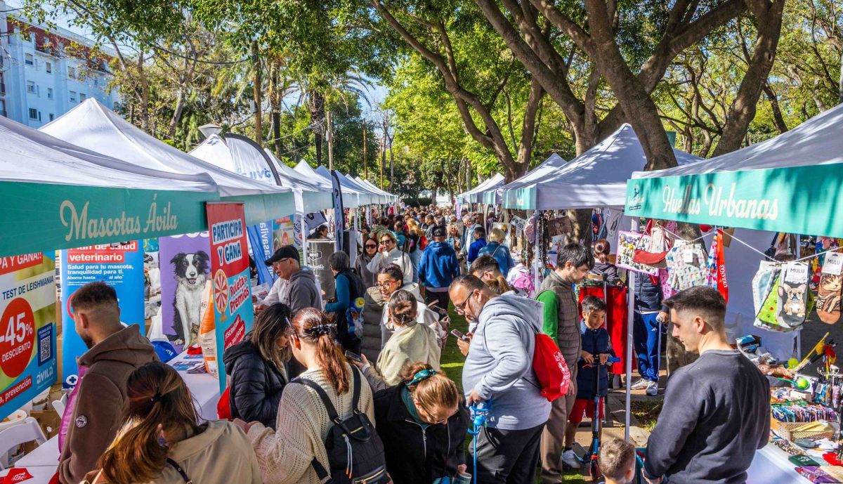 San Antón 2026 en San Fernando.