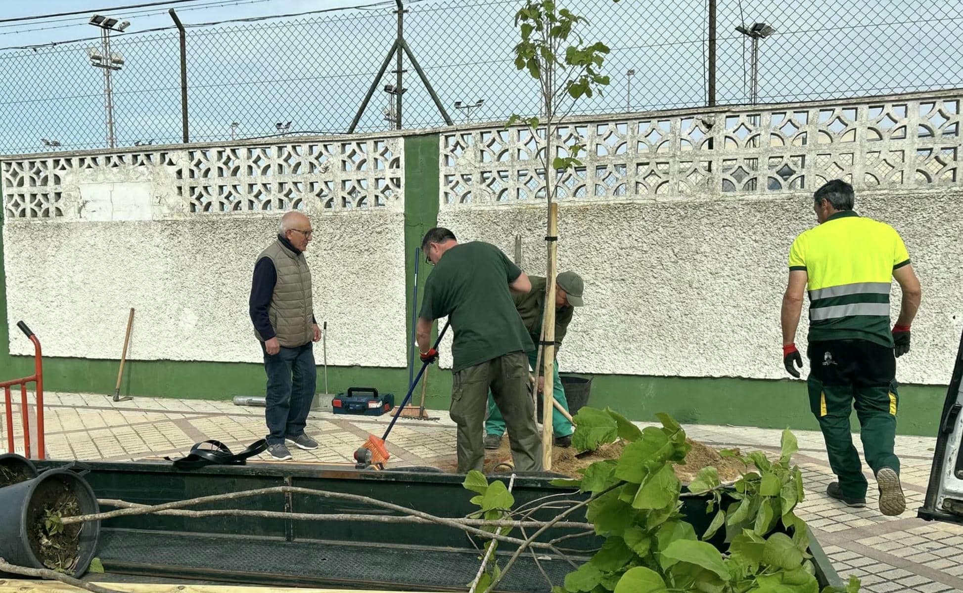 Nuevas plantaciones en la Avenida Bajo de Guía en Sanlúcar.