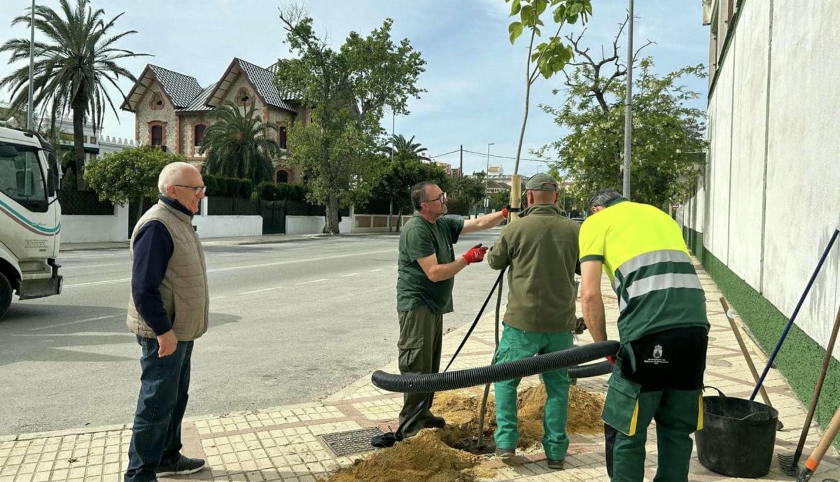 Trabajos en la Avenida Bajo de Guía.