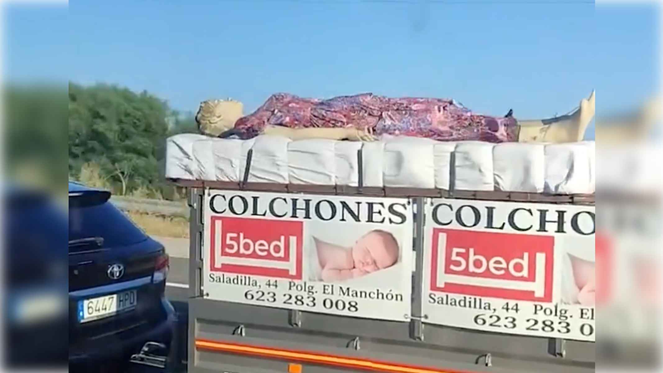 La imagen viral en la A 49. La imagen viral en la A 49.