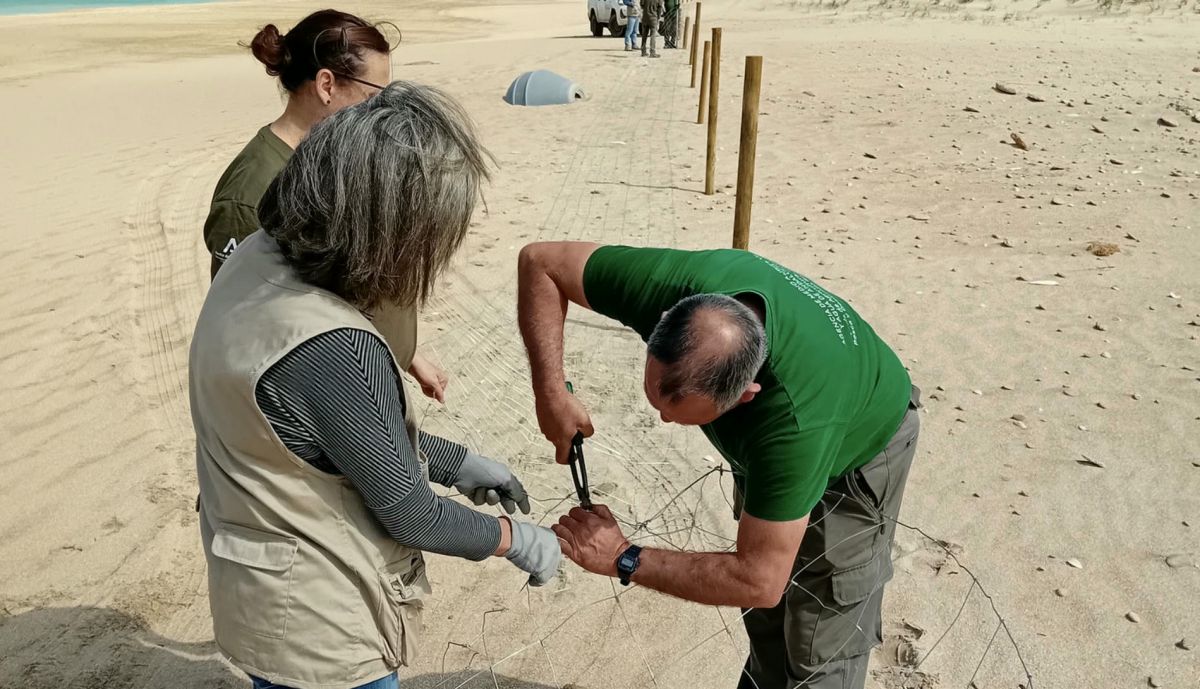 El personal instala la malla en el litoral gaditano.