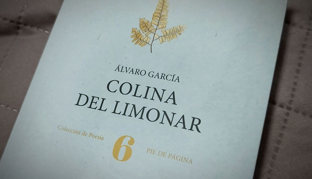 Portada del libro de Álvaro García.