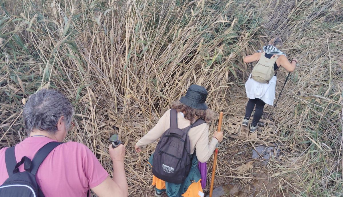 Un momento del camino de 2025.