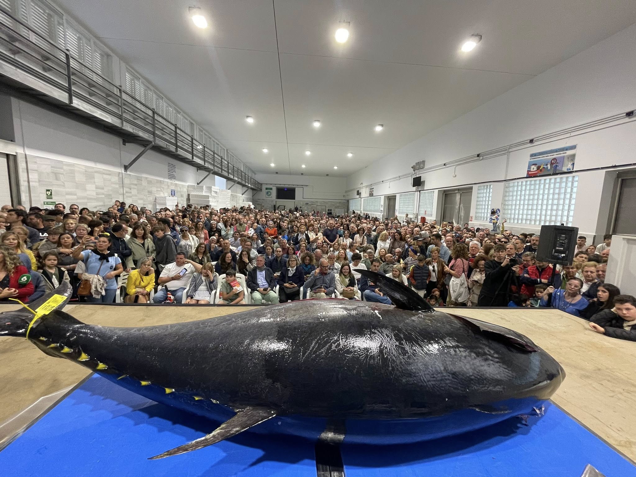 Una actividad de la pasada Semana Gastronómica del Atún en Barbate.