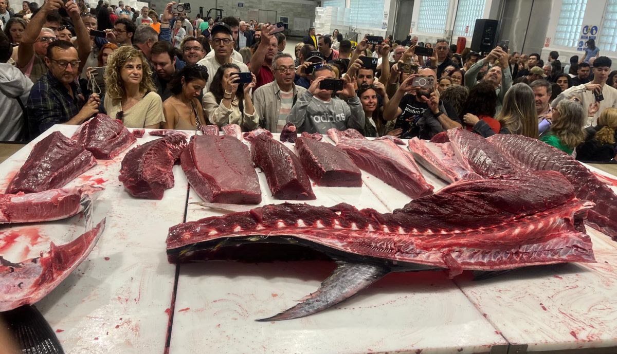 Un ronqueo de atún, en la Semana Gastronómica del Atún de Barbate.
