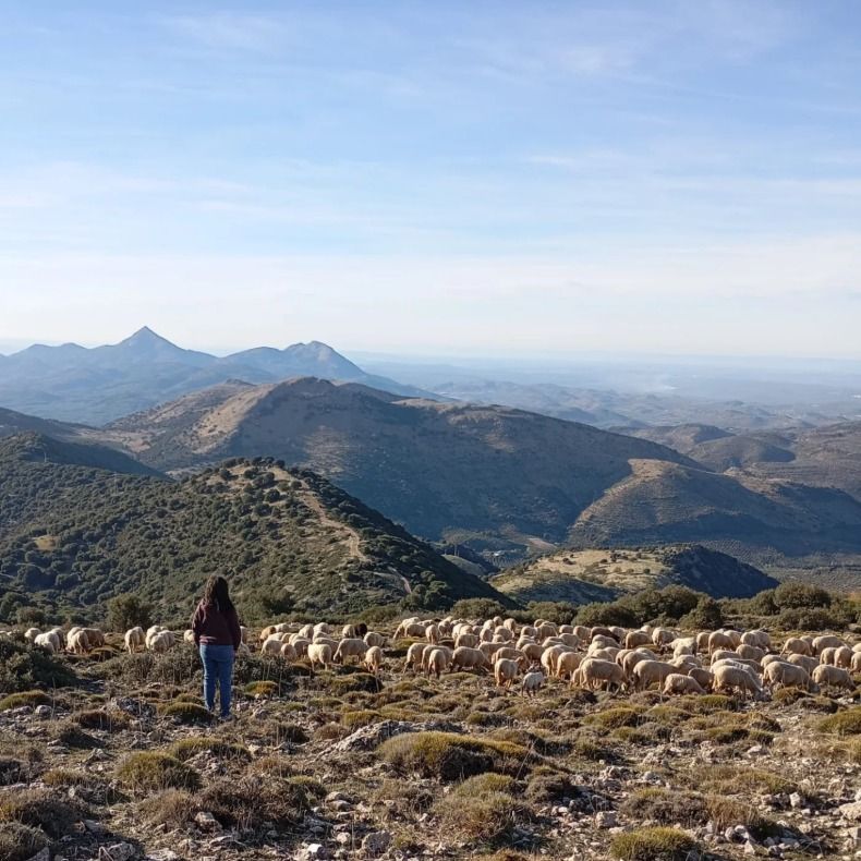 Cuando los pastores dejamos de tener voz, de Savia Rural.