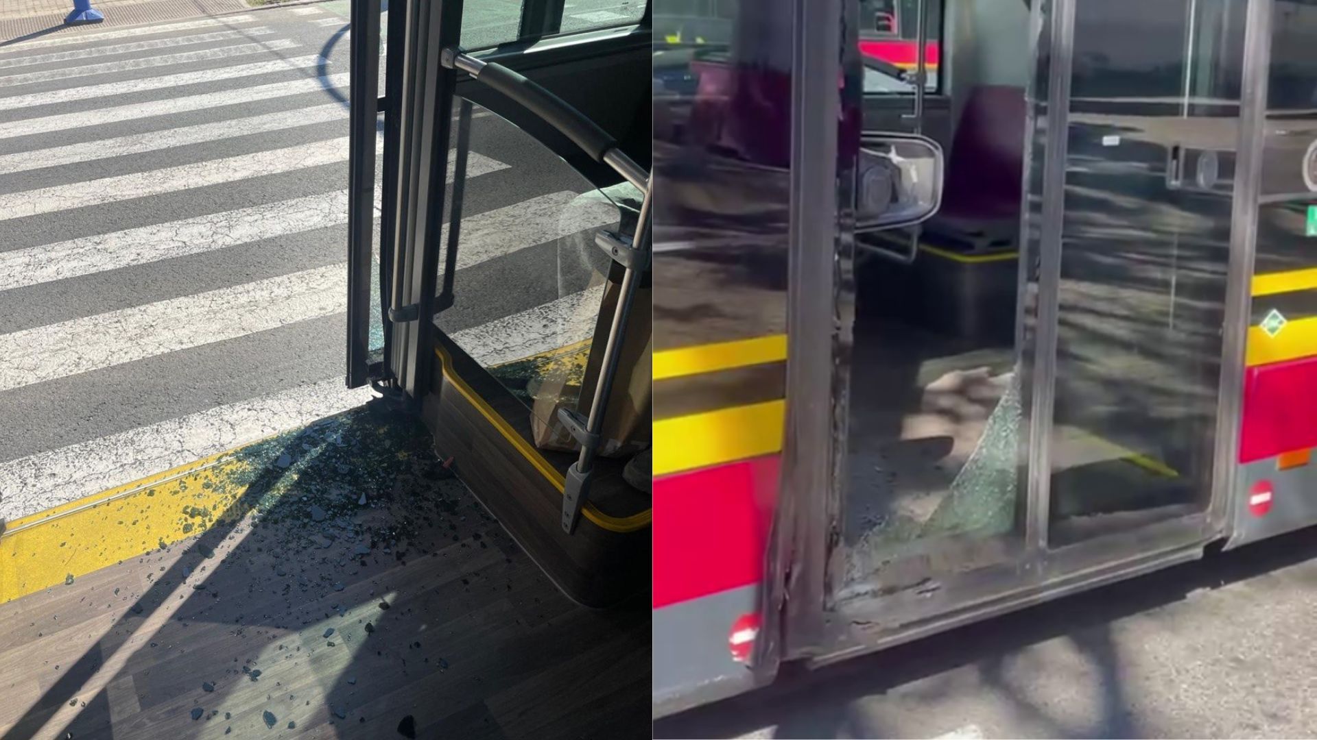 Rotura completa del cristal de una de las puertas traseras del autobús urbano de Sevilla tras chocar con un macetero
