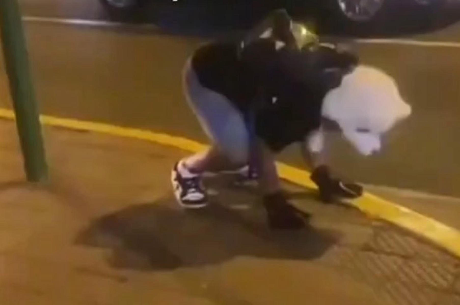 Un presunto therian.