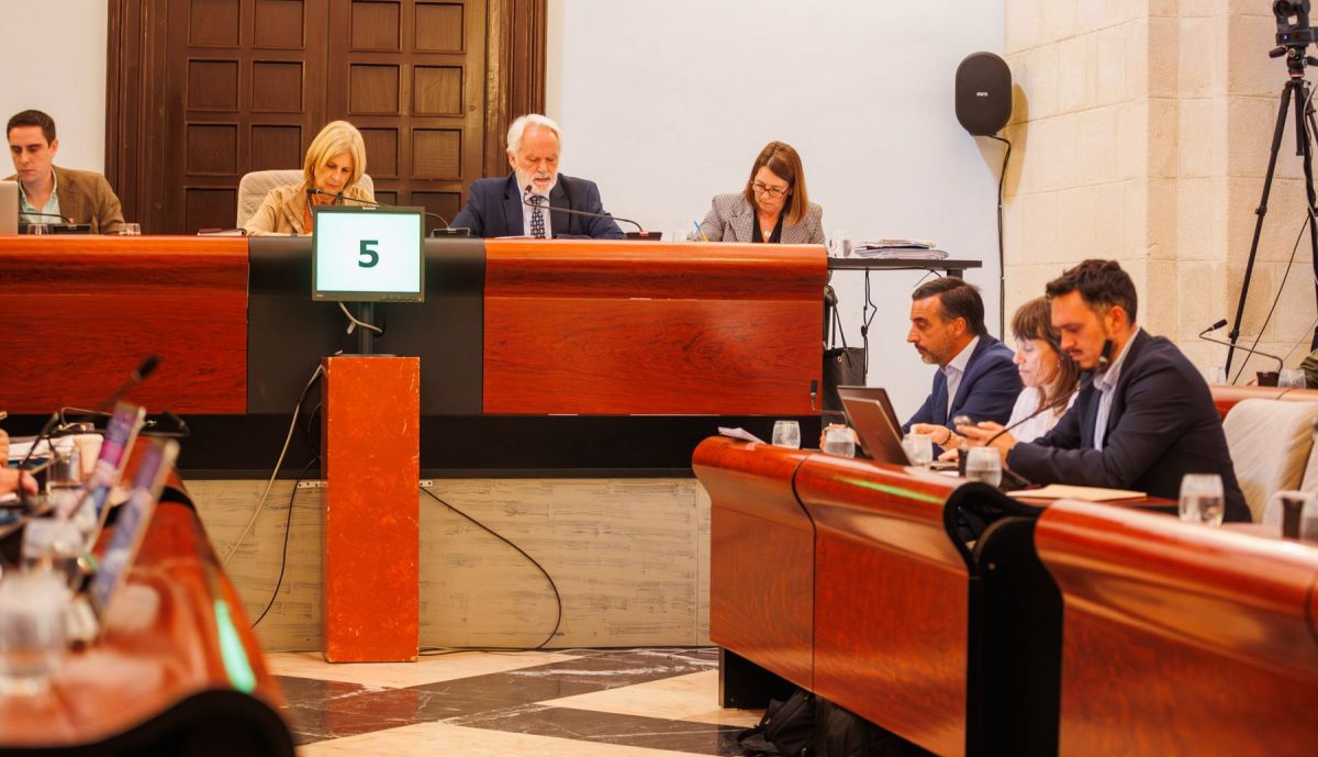 PLENO MUNICIPAL ABRIL JEREZ DE LA FRONTERA 32