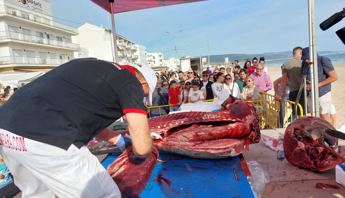 Actividades de la semana gastronómica del atún rojo en Barbate.