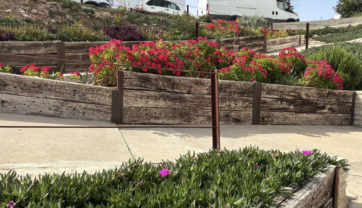 Así luce el rincón de Paqui. (1)