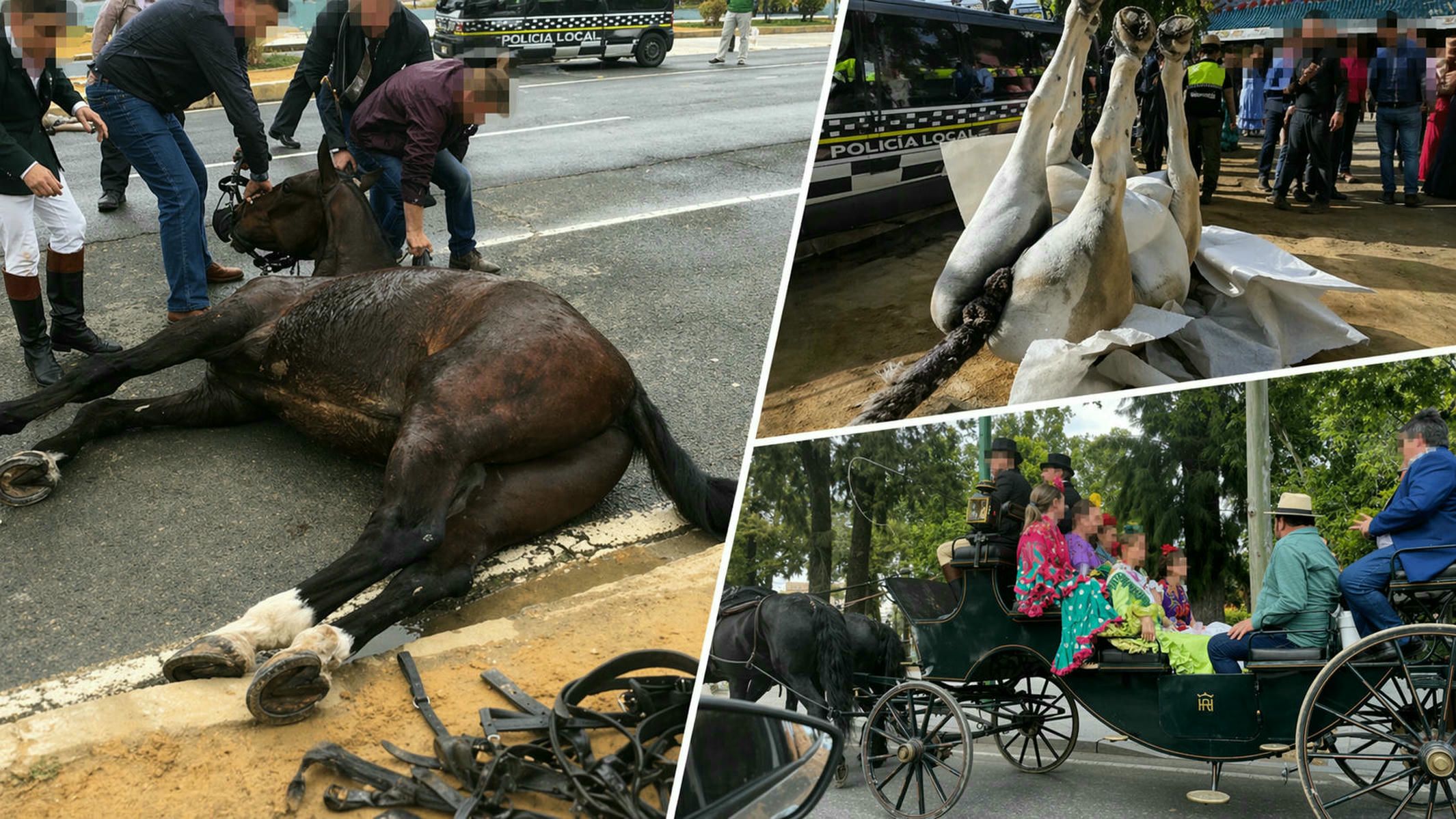 Caballos sufriendo maltrato animal en ediciones pasadas de la Feria de Abril de Sevilla