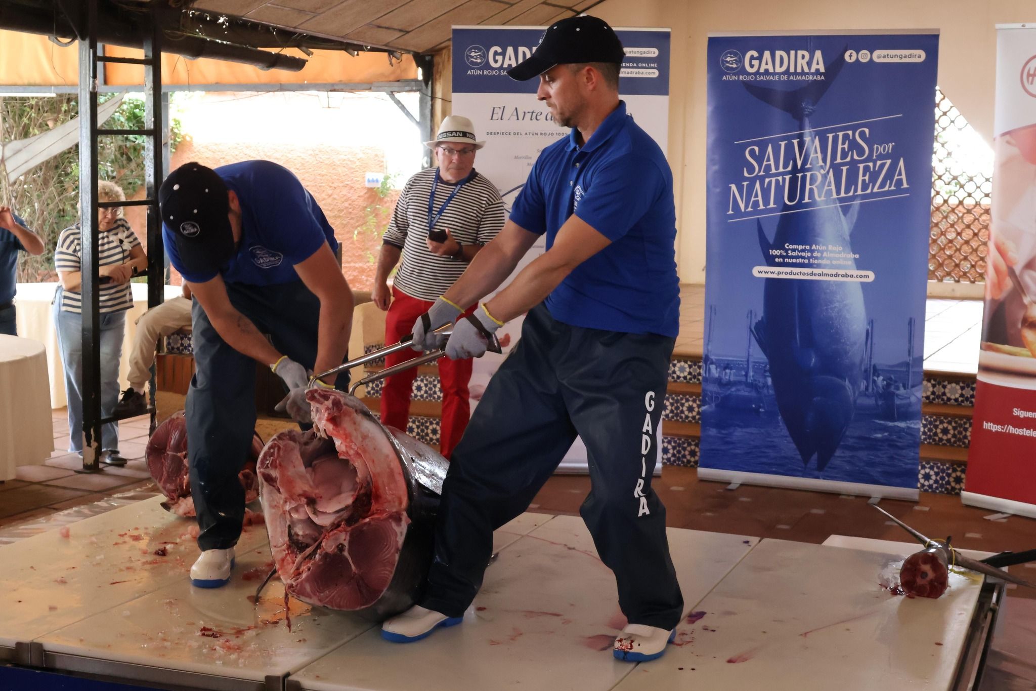 Arranca el Mes del Atún Rojo en Chiclana.