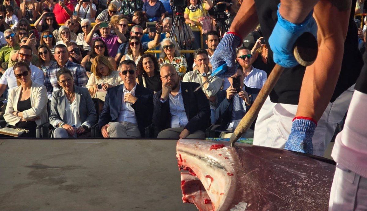 Un momento del ronqueo tradicional en Barbate.