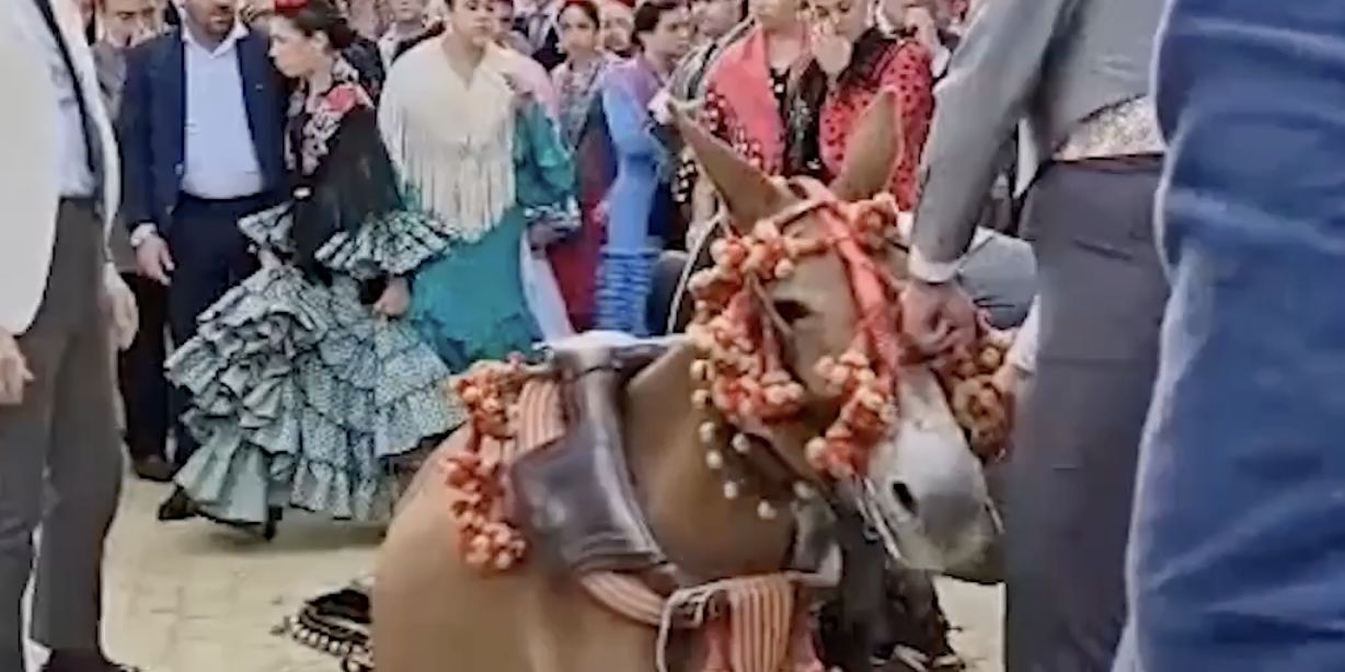 Desplome de una mula en la Feria de Abril de Sevilla: bronca por la grabación del vídeo denunciando "maltrato animal".