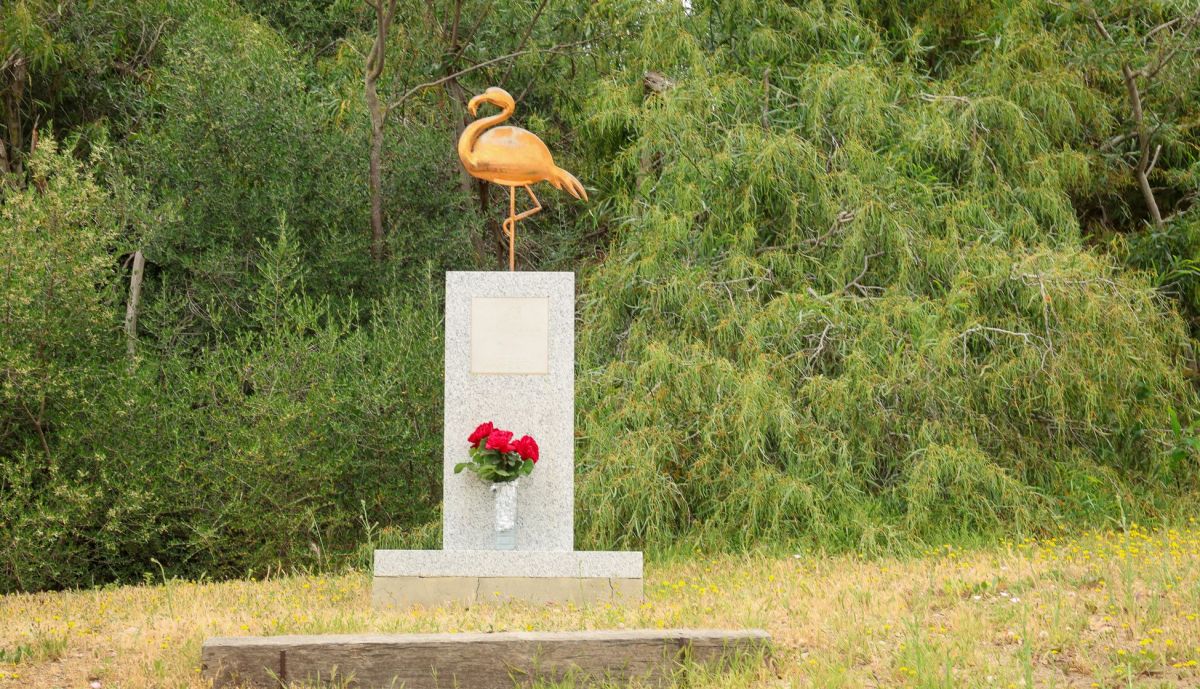 Makoto Hirano Gran premio Motos Jerez 2026 circuito de angel nieto 6