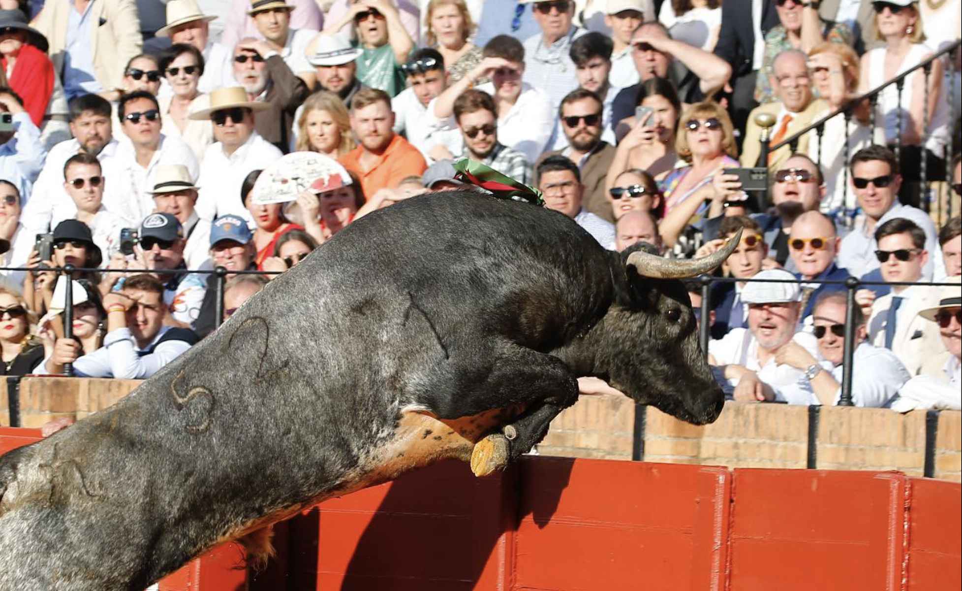 Imagen de archivo del salto de un toro al callejón de la Maestranza.