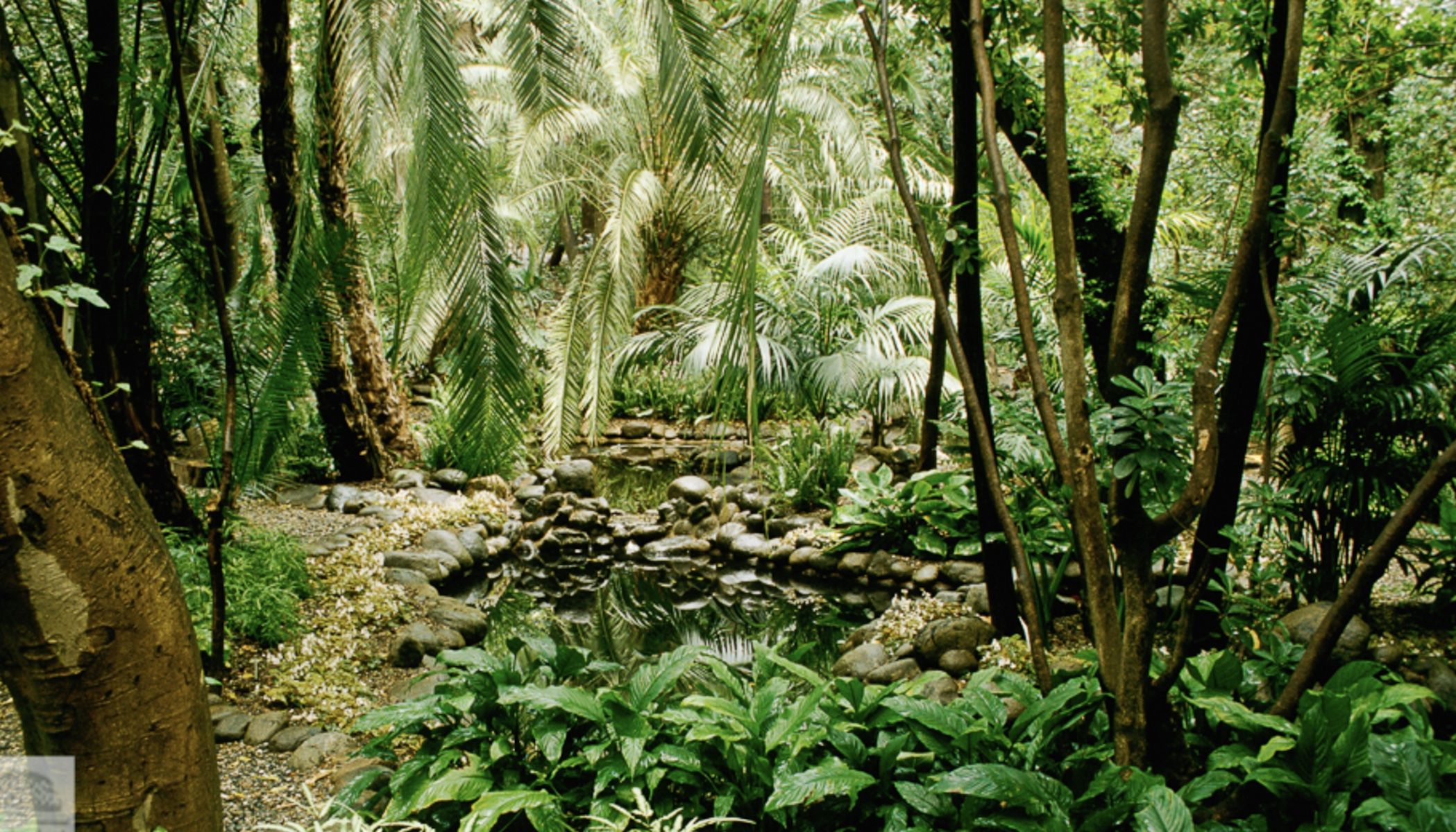 El jardín Gonzalez Andreu, en el Jardín Botánico La Concepción.