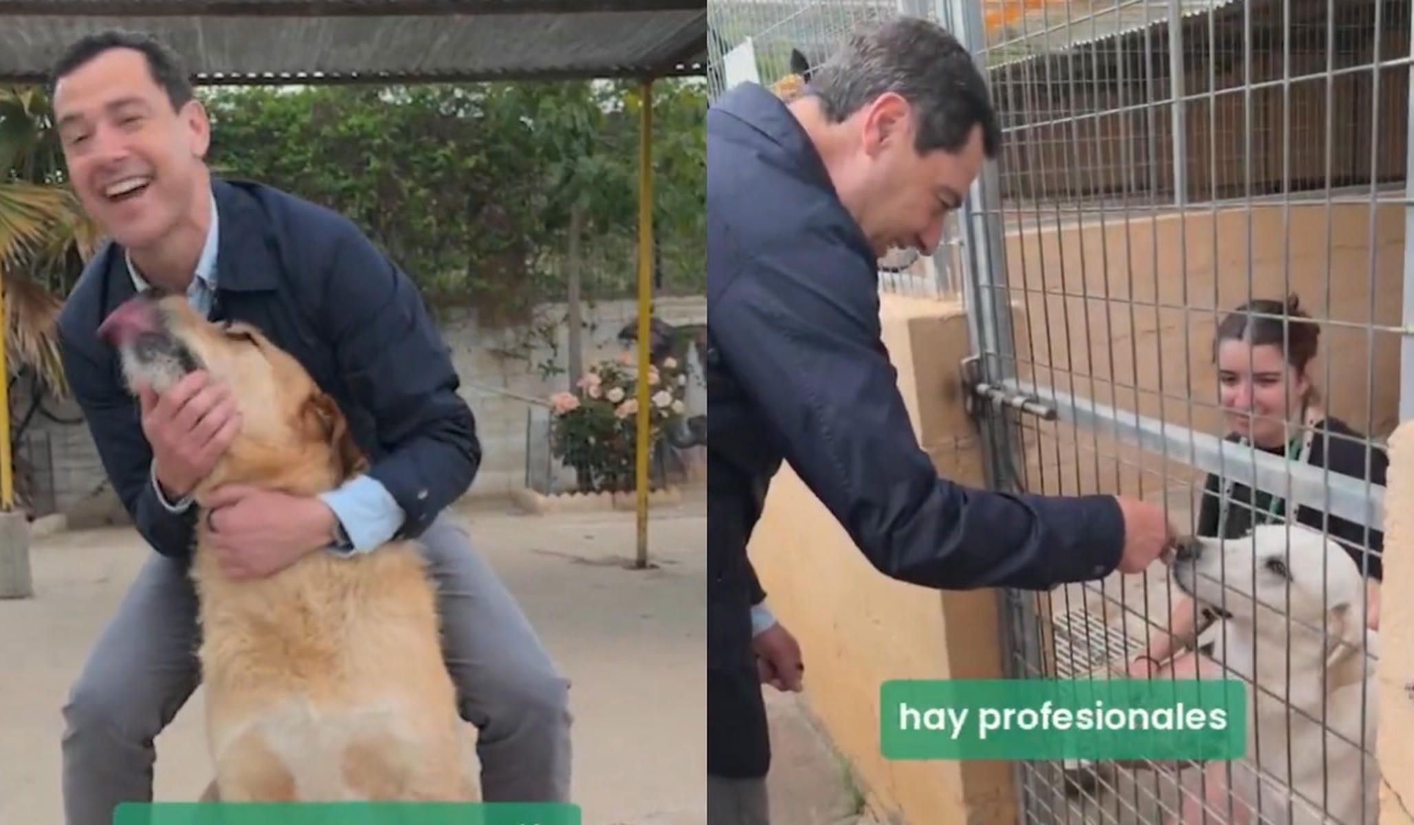 Juanma Moreno, presidente de la Junta, en la Protectora de Animales de Málaga.