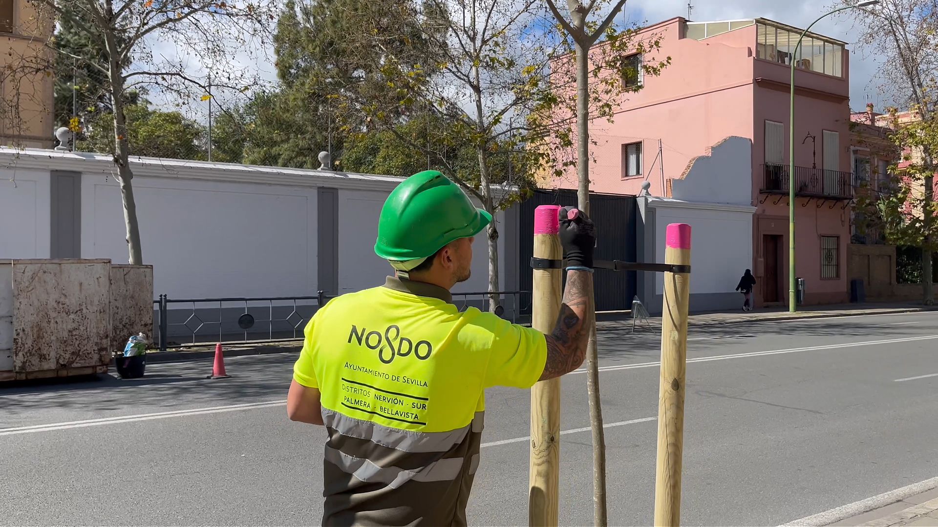 Plantaciones en el Distrito Sur de Sevilla.