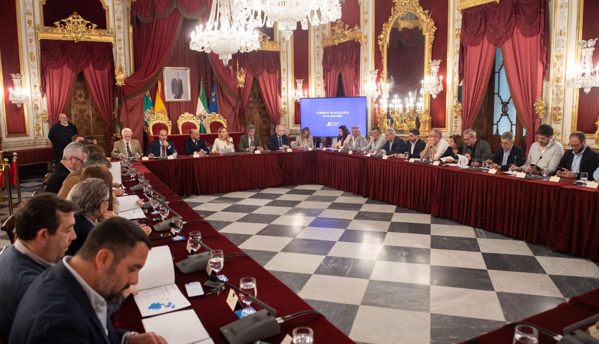 El Consejo de Alcaldías organizado por la Diputación de Cádiz