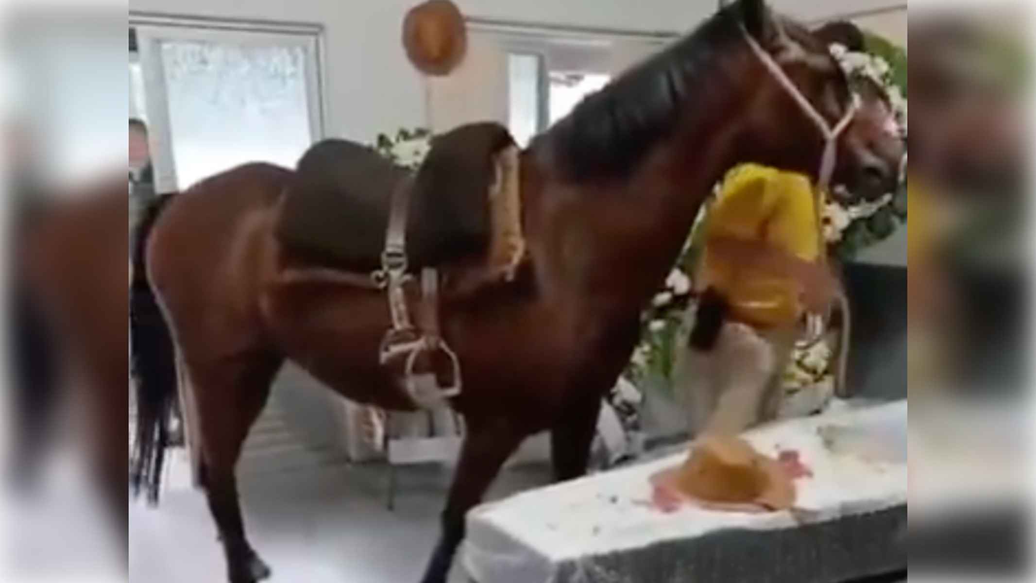 La yegua, despidiéndose de su dueño.