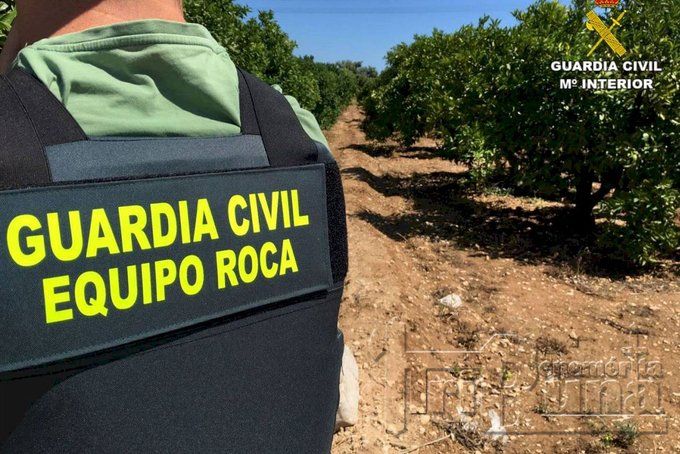 Imagen de una reciente intervención de la Guardia Civil.