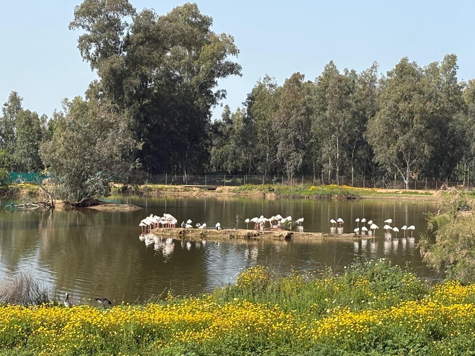La Cañada de los Pájaros, en una vista reciente.