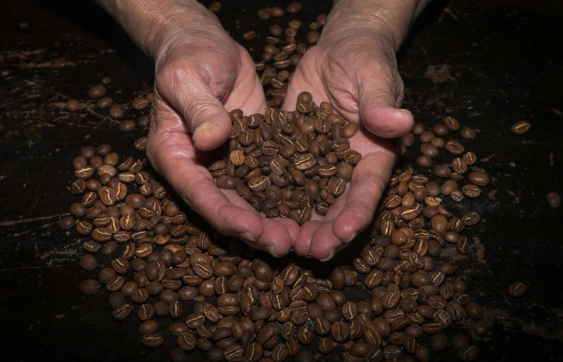 Café de especialidad.