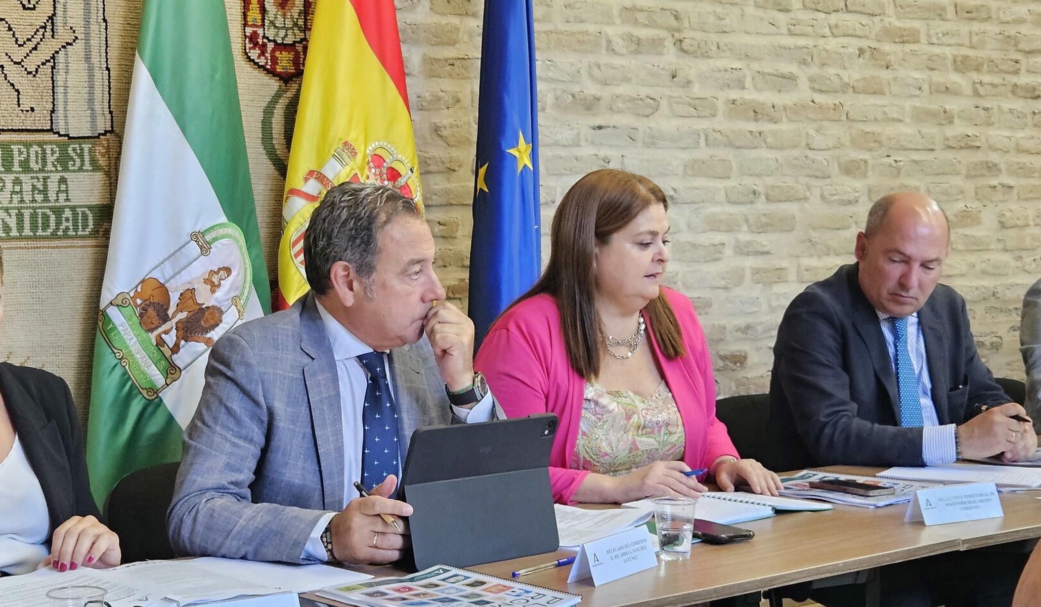 63 hermandades transitarán por 'Caminos de Sevilla' bajo el amparo de 7.000 efectivos en el Plan Romero 2026