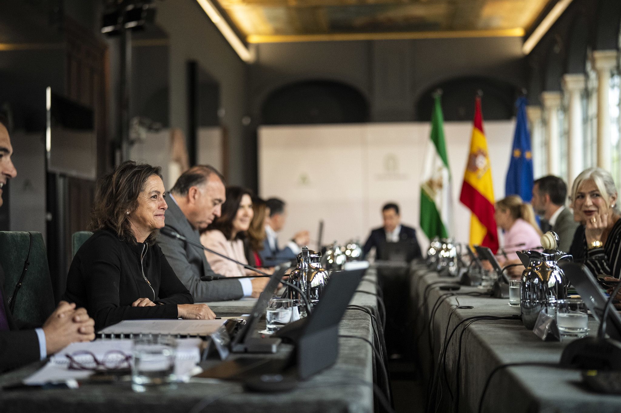 La reunión del Consejo de Gobierno del pasado 29 de abril, tras la cual se produjo la rueda de prensa con las declaraciones de Carolina España.