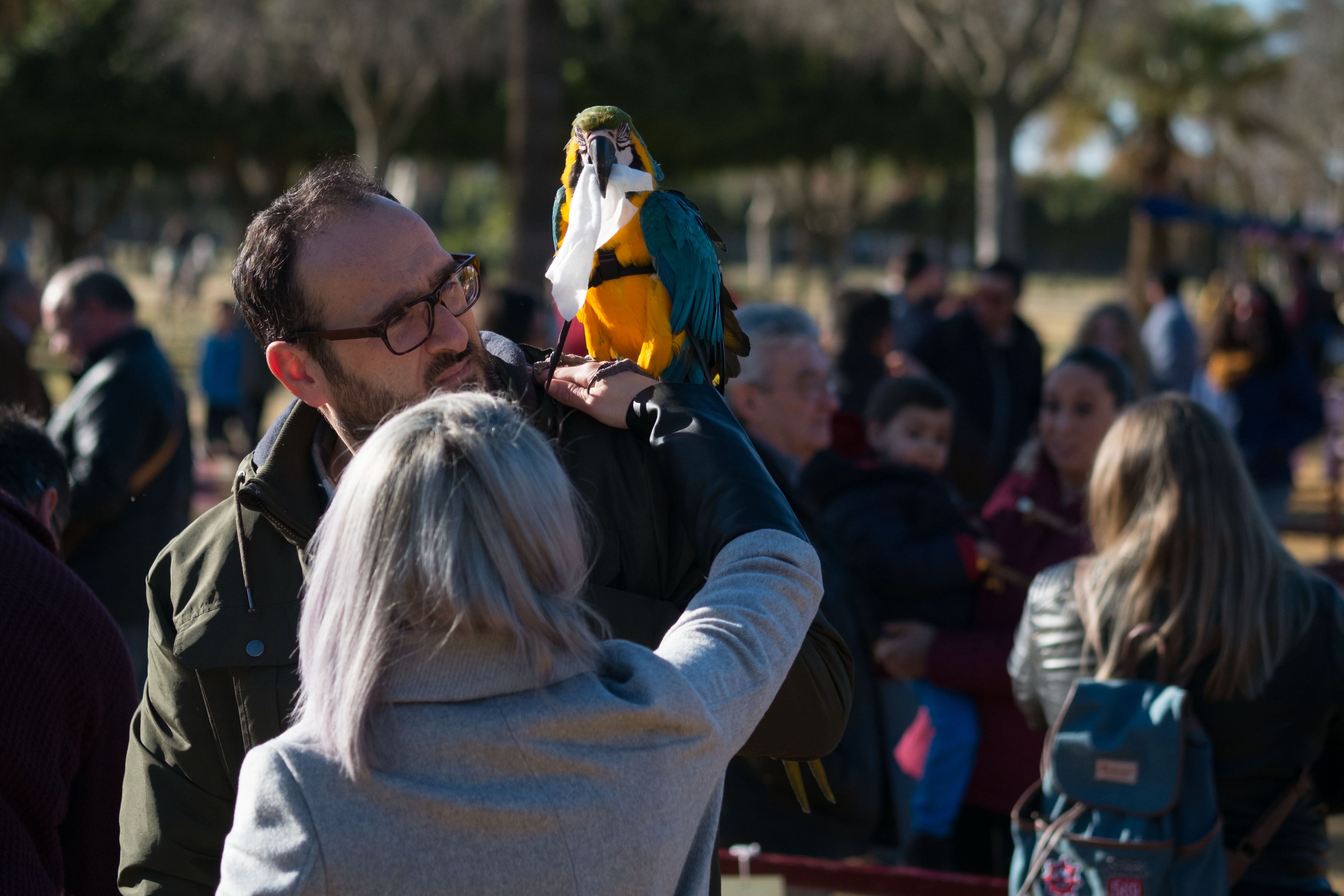 Una pasada celebración de San Antón en Jerez. FOTO: MANU GARCÍA. 